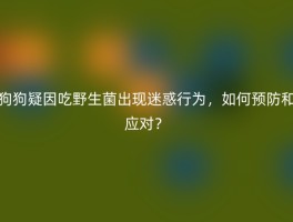 狗狗疑因吃野生菌出现迷惑行为，如何预防和应对？