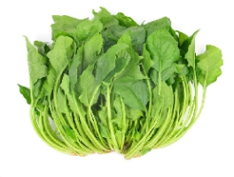 现在带你了解！菠菜耐寒最低多少度？