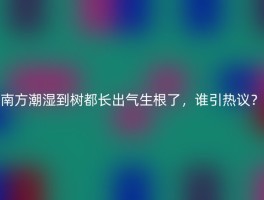 南方潮湿到树都长出气生根了，谁引热议？