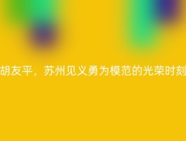 胡友平，苏州见义勇为模范的光荣时刻