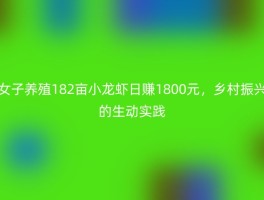 女子养殖182亩小龙虾日赚1800元，乡村振兴的生动实践