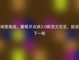 绿茵激战，葡萄牙点球3:0斯洛文尼亚，挺进下一轮