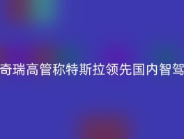 奇瑞高管称特斯拉领先国内智驾