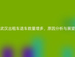 武汉出租车退车数量增多，原因分析与展望