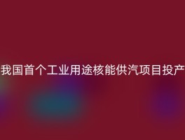 我国首个工业用途核能供汽项目投产