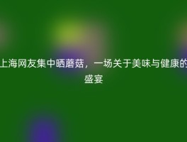 上海网友集中晒蘑菇，一场关于美味与健康的盛宴