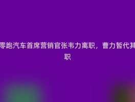 零跑汽车首席营销官张韦力离职，曹力暂代其职
