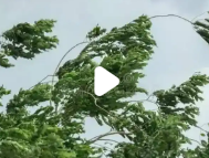 实测：多大风能把100斤的人吹到跑