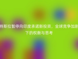 特斯拉暂停向印度承诺新投资，全球竞争加剧下的权衡与思考