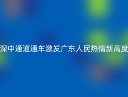 深中通道通车激发广东人民热情新高度