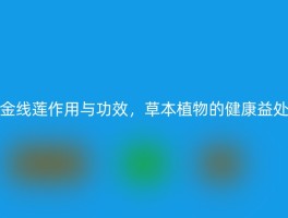 金线莲作用与功效，草本植物的健康益处