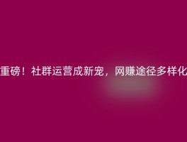 重磅！社群运营成新宠，网赚途径多样化