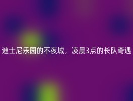 迪士尼乐园的不夜城，凌晨3点的长队奇遇