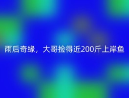 雨后奇缘，大哥捡得近200斤上岸鱼