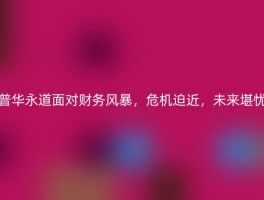 普华永道面对财务风暴，危机迫近，未来堪忧