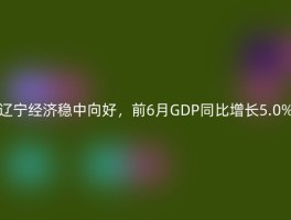 辽宁经济稳中向好，前6月GDP同比增长5.0%