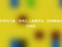 声音的力量，网络红人直播带货，新网赚模式的崛起