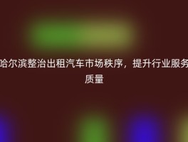 哈尔滨整治出租汽车市场秩序，提升行业服务质量