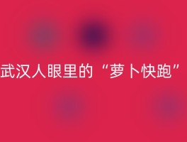 武汉人眼里的“萝卜快跑”