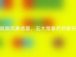 抵御风寒感冒，五大常备药物解析