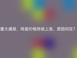重大通报，鸡蛋价格持续上涨，原因何在？