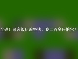 全球！顾客饭店追野猪，我二百多斤怕它？