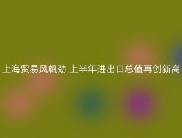 上海贸易风帆劲 上半年进出口总值再创新高