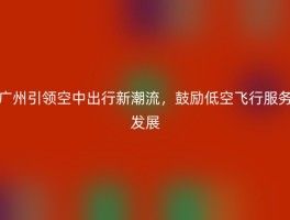 广州引领空中出行新潮流，鼓励低空飞行服务发展