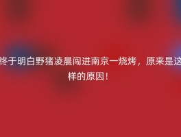 终于明白野猪凌晨闯进南京一烧烤，原来是这样的原因！