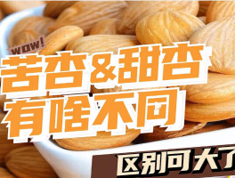 南杏仁是甜杏仁吗