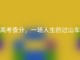 高考查分，一场人生的过山车