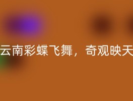 云南彩蝶飞舞，奇观映天