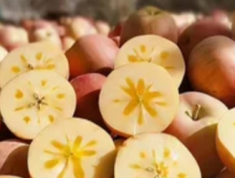 冰糖心苹果是特殊品种吗？冰糖心苹果：高原阳光的甜蜜馈赠