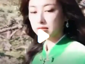 朱珠素颜照，展现自然之美新风尚