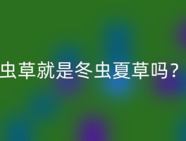 虫草就是冬虫夏草吗？