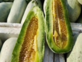 羊角蜜是几月份的应季水果