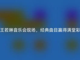 王若琳音乐会现场，经典曲目赢得满堂彩