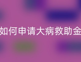 如何申请大病救助金