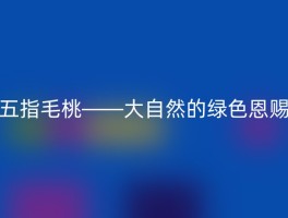 五指毛桃——大自然的绿色恩赐