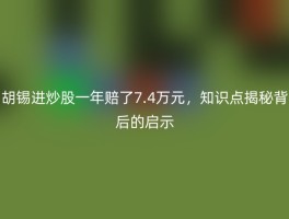 胡锡进炒股一年赔了7.4万元，知识点揭秘背后的启示