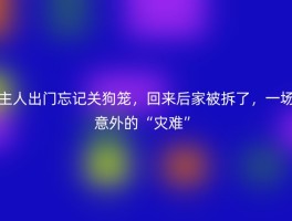 主人出门忘记关狗笼，回来后家被拆了，一场意外的“灾难”