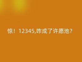 惊！12345,咋成了许愿池？