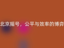 北京摇号，公平与效率的博弈