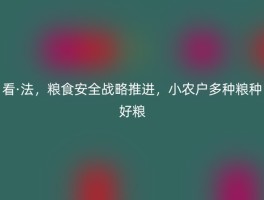 看·法，粮食安全战略推进，小农户多种粮种好粮