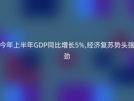 今年上半年GDP同比增长5%,经济复苏势头强劲
