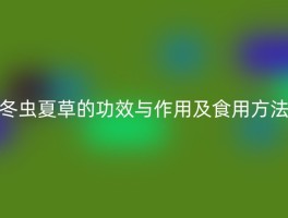 冬虫夏草的功效与作用及食用方法