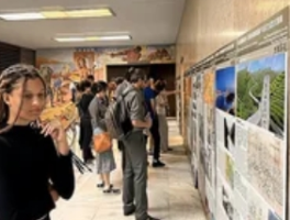 “万里茶道”走进巴西 讲述“茶园到茶港”故事