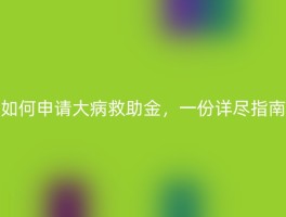 如何申请大病救助金，一份详尽指南