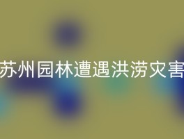 苏州园林遭遇洪涝灾害