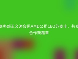 商务部王文涛会见AMD公司CEO苏姿丰，共商合作新篇章